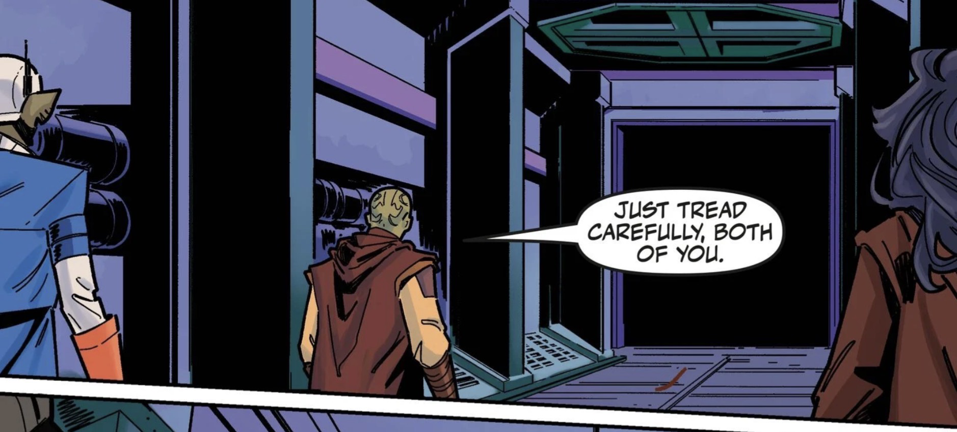 Star Wars comic panel: "Just tread carefully, both of you."